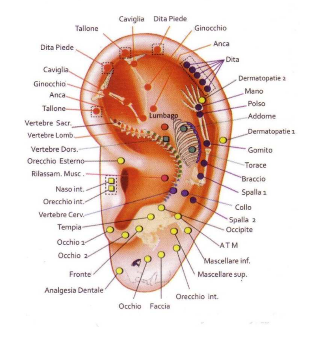 AURABEADS - Cerotti per Auricoloterapia con Perline Magnetiche